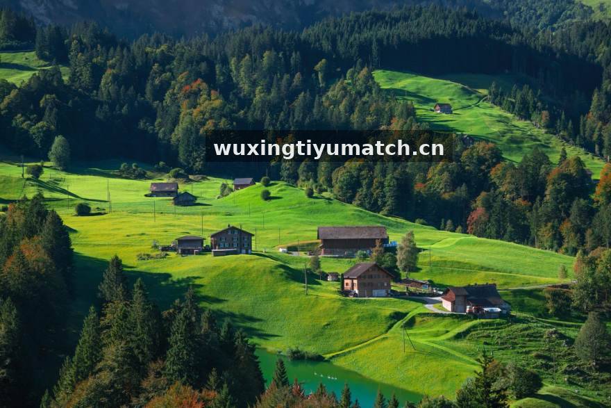 五星体育内容与数据团队协作场景