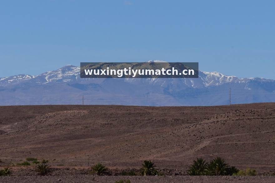 五星体育专业数据分析与赛前研判场景
